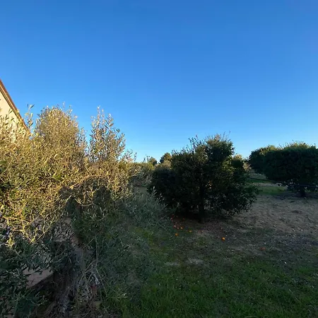 Eterea Gallipoli